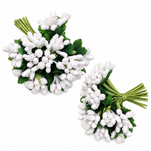 White Stamens Each Bunch